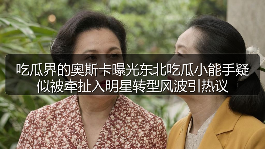 吃瓜界的奥斯卡曝光东北吃瓜小能手疑似被牵扯入明星转型风波引热议