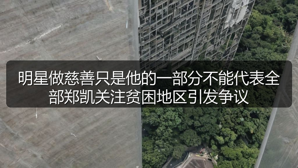 明星做慈善只是他的一部分不能代表全部郑凯关注贫困地区引发争议