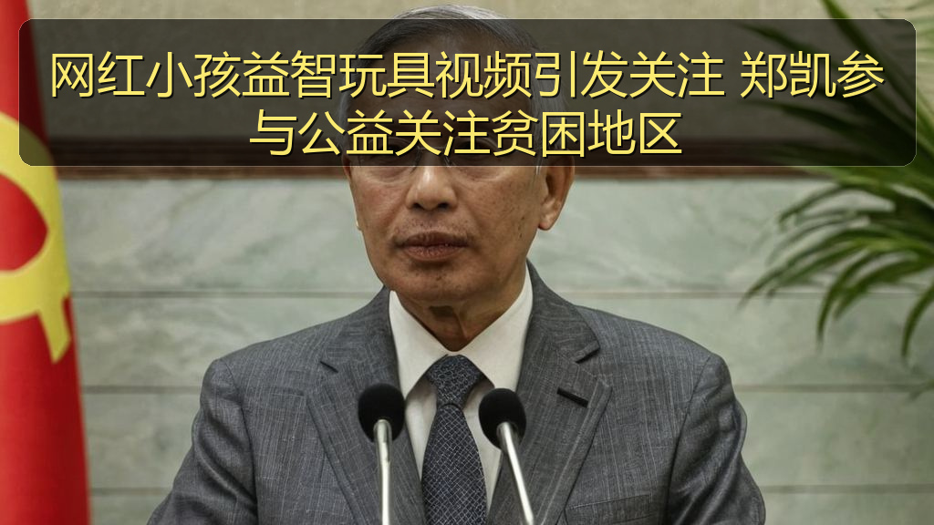 吃瓜入口 - 网红小孩益智玩具视频引发关注 郑凯参与公益关注贫困地区